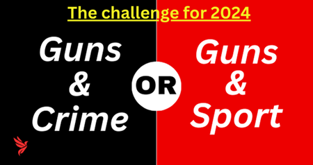 Banner for Guns and Crime